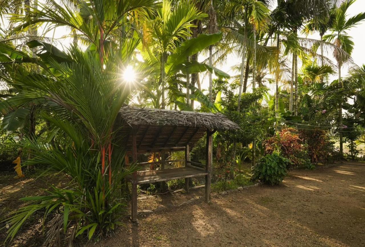 Cocozone Stays Alappuzha Extérieur photo
